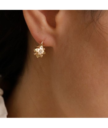 Boucles d'oreilles dormeuses anciennes petite fleur sur le site 