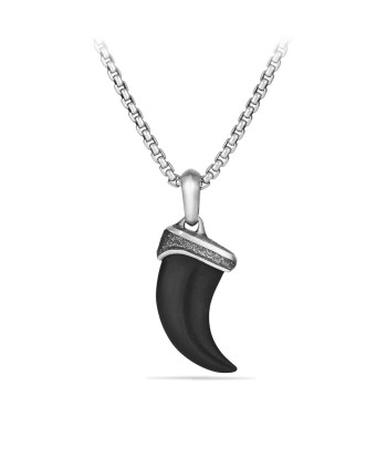 Men's Petrvs Stone Claw Amulet with Black Onyx le concept de la Pate a emporter 