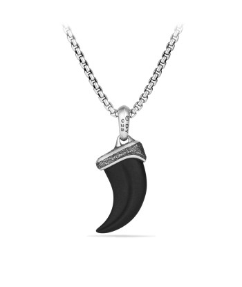 Men's Petrvs Stone Claw Amulet with Black Onyx le concept de la Pate a emporter 