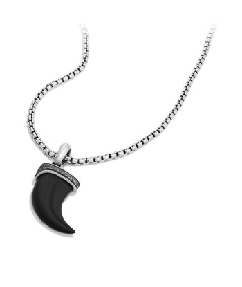 Men's Petrvs Stone Claw Amulet with Black Onyx le concept de la Pate a emporter 