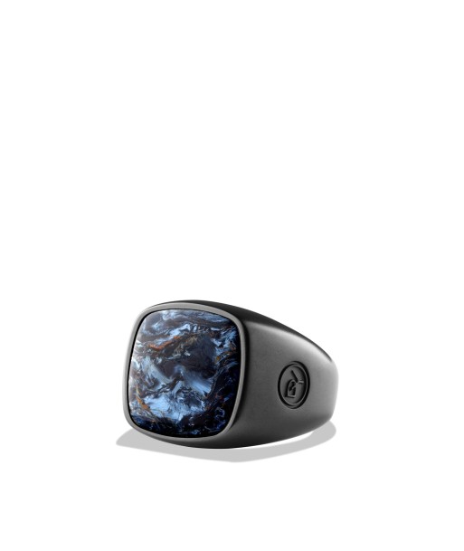 David Yurman Men's Exotic Stone Ring with Pietersite in Black Titanium une grave pollution 