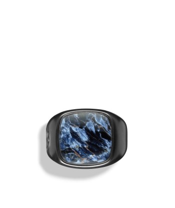 David Yurman Men's Exotic Stone Ring with Pietersite in Black Titanium une grave pollution 