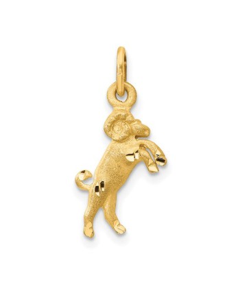 14k Gold Zodiac Charm 2 - 3 jours ouvrés.