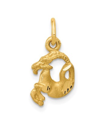 14k Gold Zodiac Charm 2 - 3 jours ouvrés.