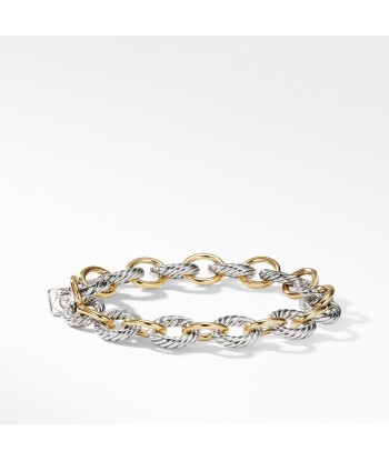 David Yurman Oval Link Chain 18k Silver Bracelet, 10MM de France