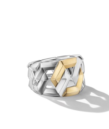 David Yurman Carlyle Ring in Sterling Silver with 18K Yellow Gold Les êtres humains sont 