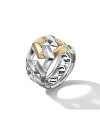 David Yurman Carlyle Ring in Sterling Silver with 18K Yellow Gold Les êtres humains sont 