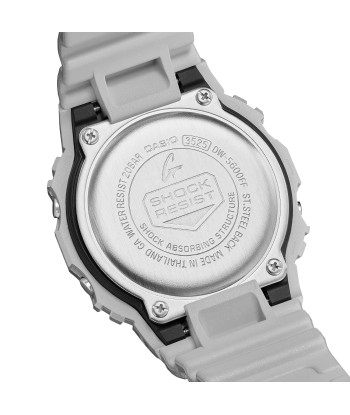 CASIO G-SHOCK DW5600FF-8 Forgotten Future Silver Metallic Watch du meilleur 