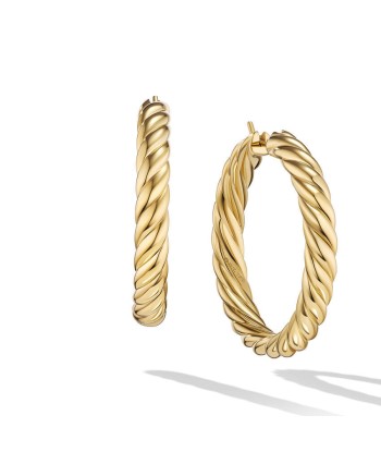 DY 1.5" Sculpted Cable Hoop Earrings in 18K Yellow Gold Par le système avancé 