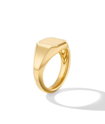 DY Gents Streamline Signet Ring in 18K Yellow Gold, 14mm d'Europe débarque