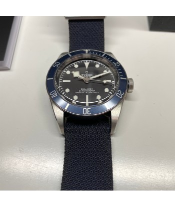 Pre-owned Tudor Black Bay Blue Bezel 41mm M79230B Les magasins à Paris