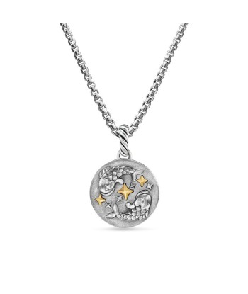 David Yurman Pisces Amulet in Sterling Silver with 18K Yellow Gold and Diamonds, 19mm Amélioration de cerveau avec